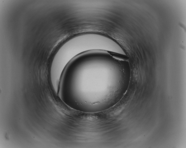 X0000099230304200805011142