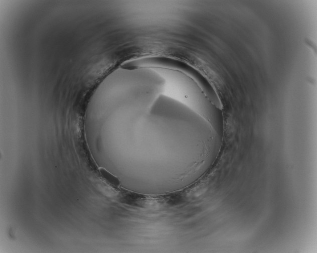 X0000099230305200805011142