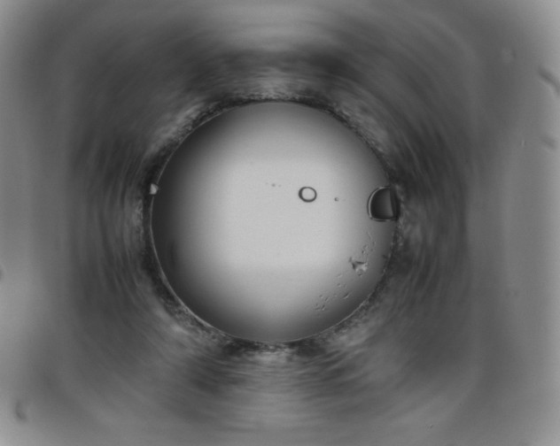 X0000099230306200805011142