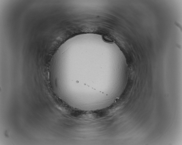 X0000099230307200805011142