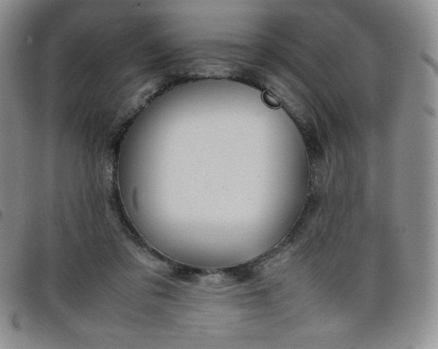 X0000099230309200805011142