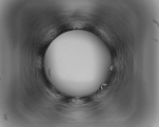 X0000099230311200805011142