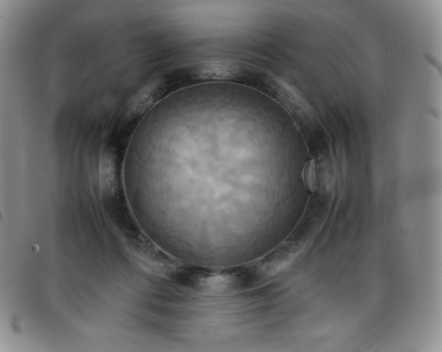 X0000099230312200805011142