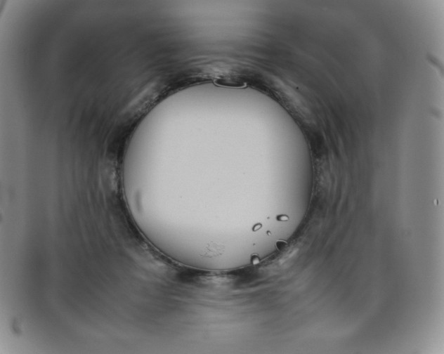 X0000099230313200805011142