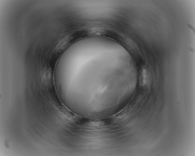 X0000099230314200805011142