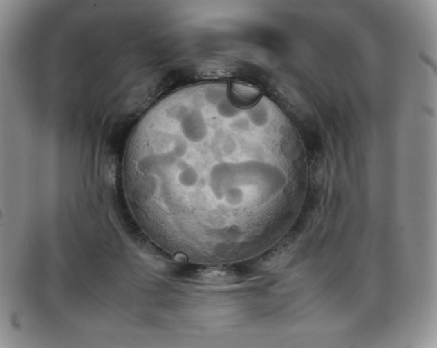 X0000099230315200805011142