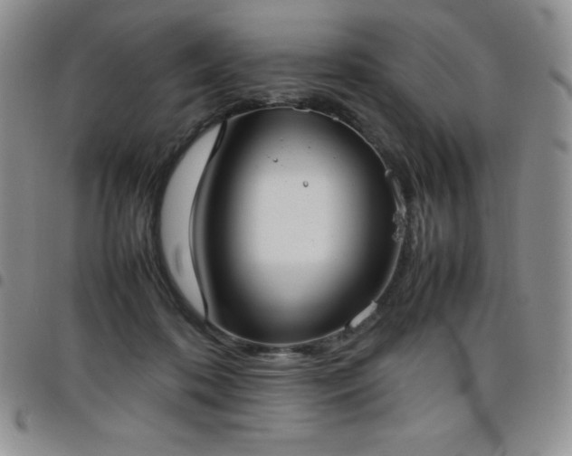 X0000099230316200805011142