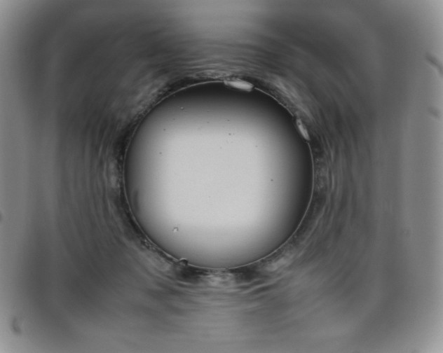 X0000099230317200805011142