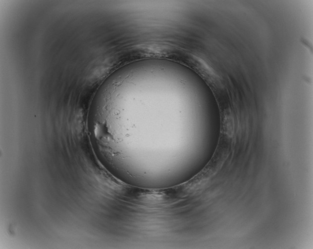 X0000099230318200805011142