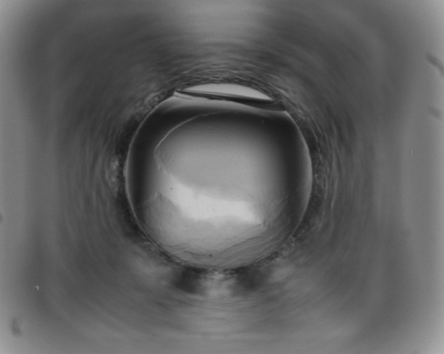 X0000099230319200805011142