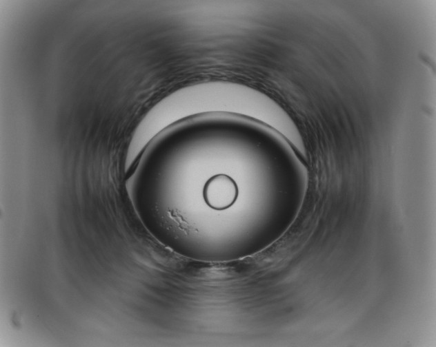 X0000099230320200805011142