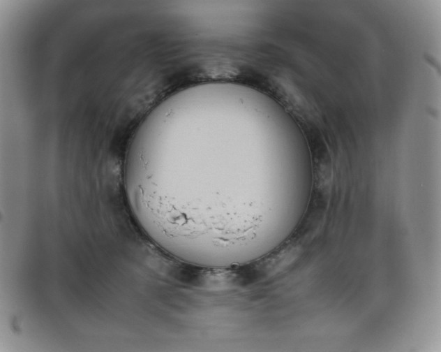 X0000099230321200805011142