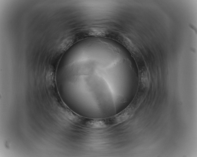 X0000099230322200805011142