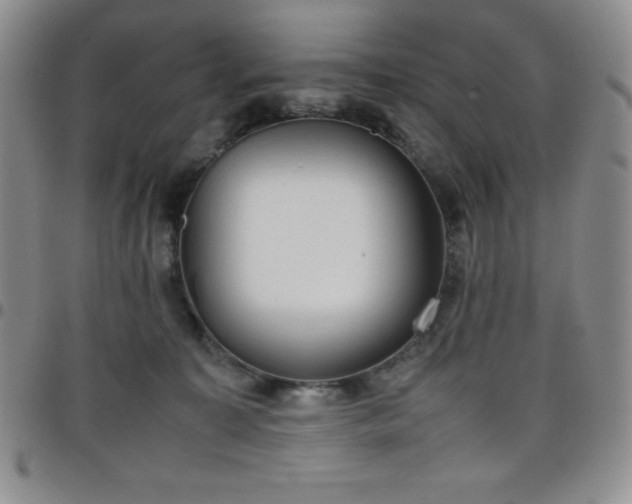 X0000099230323200805011142