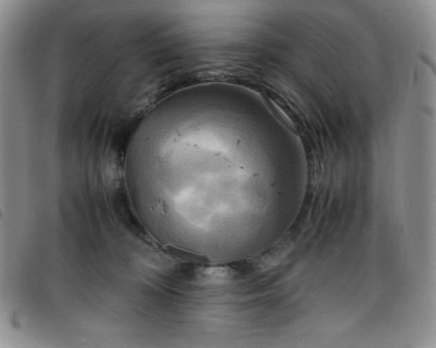 X0000099230324200805011142