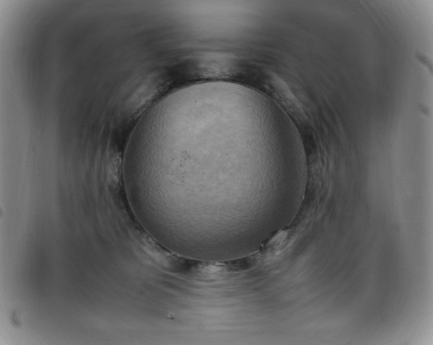 X0000099230325200805011142