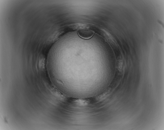 X0000099230326200805011142