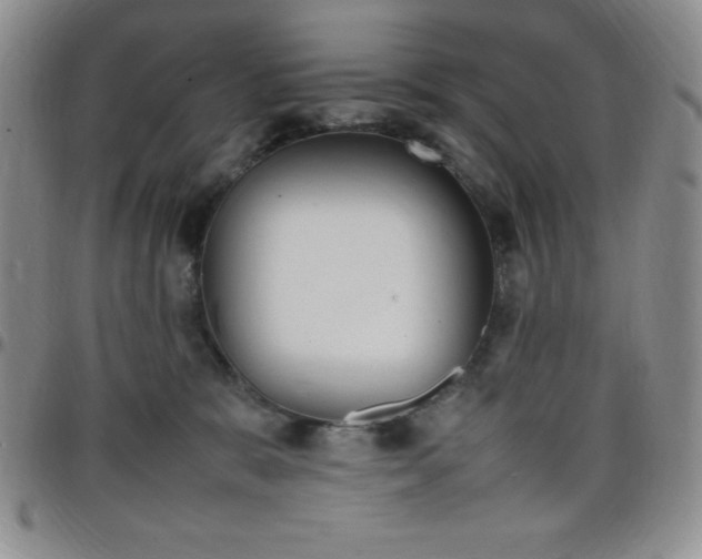 X0000099230327200805011142