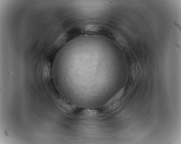 X0000099230328200805011142