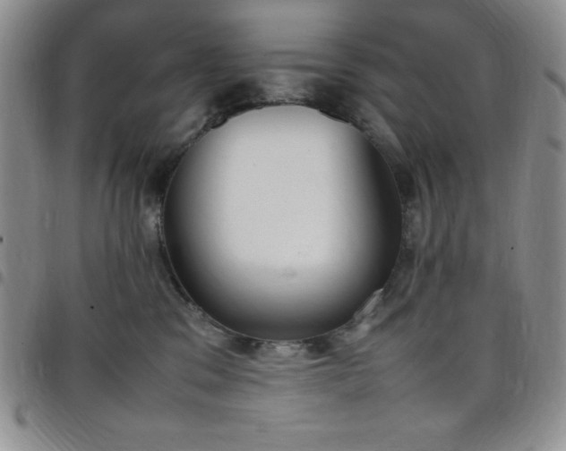 X0000099230329200805011142