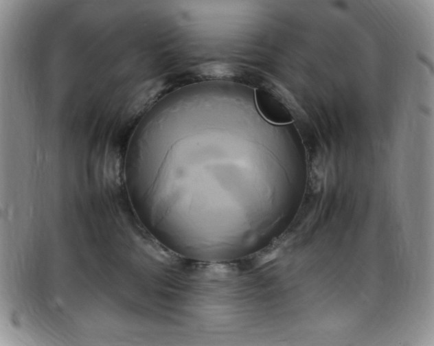 X0000099230330200805011142