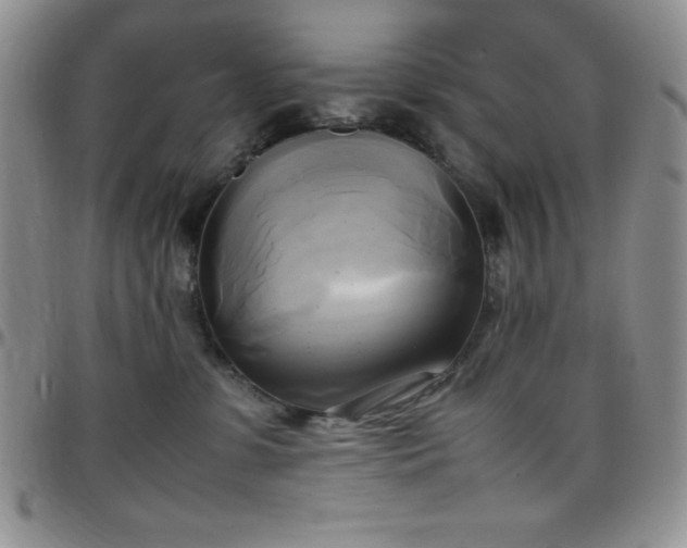 X0000099230331200805011142