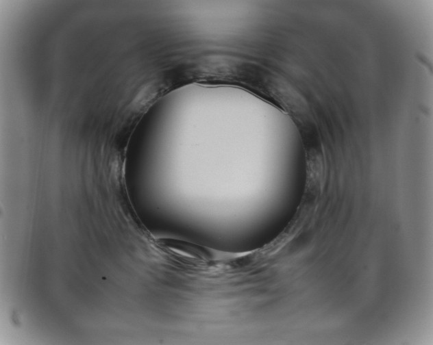 X0000099230333200805011142