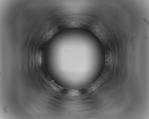 X0000099230334200805011142