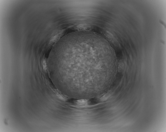 X0000099230335200805011142