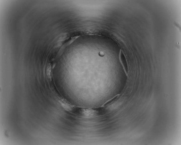 X0000099230336200805011142