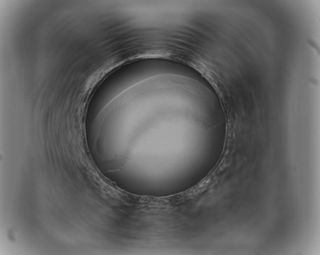 X0000099230337200805011141