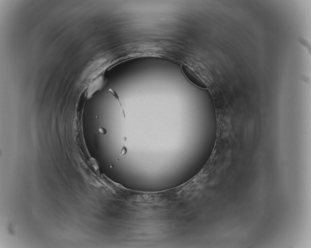 X0000099230338200805011141