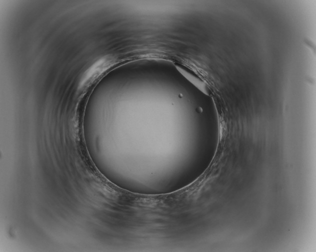 X0000099230339200805011141