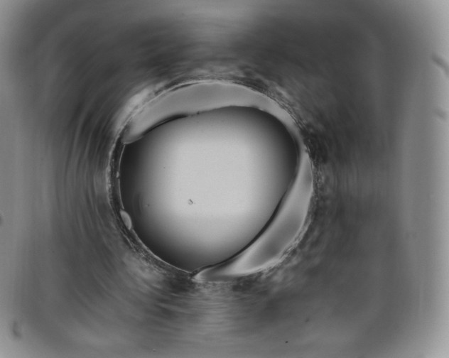 X0000099230340200805011141