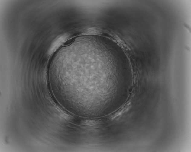 X0000099230341200805011141