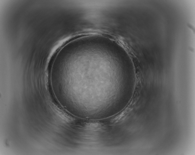 X0000099230342200805011141