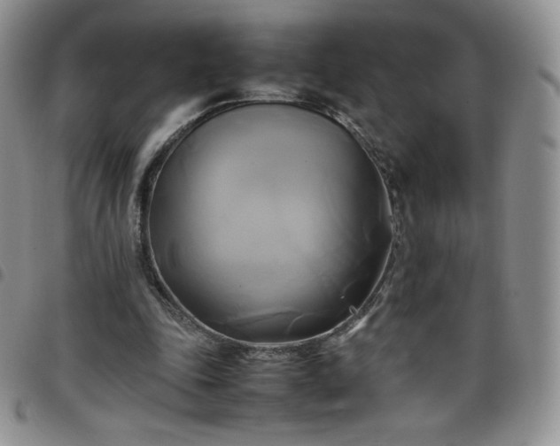 X0000099230343200805011141