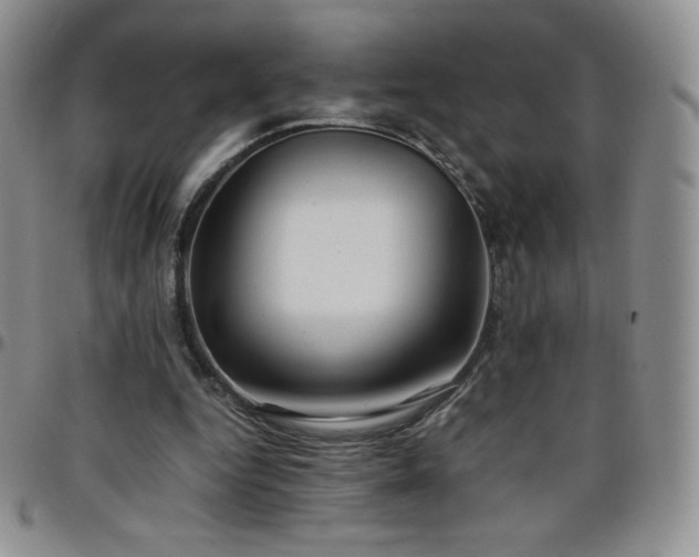 X0000099230344200805011141