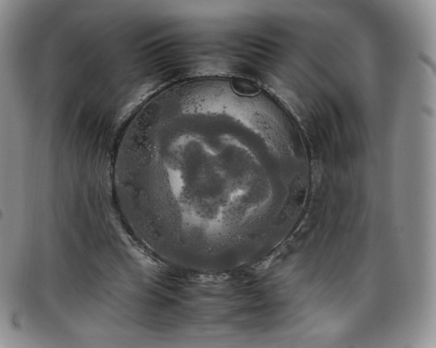 X0000099230345200805011141