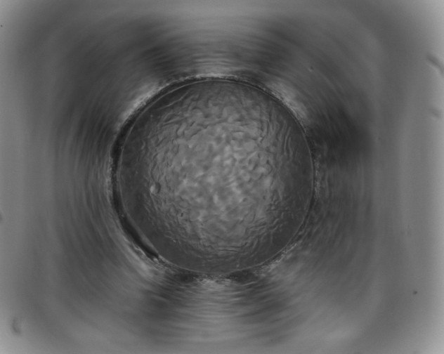 X0000099230346200805011141