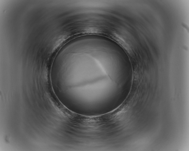 X0000099230347200805011141