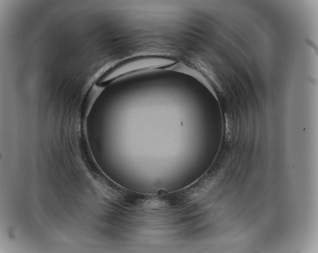 X0000099230348200805011141