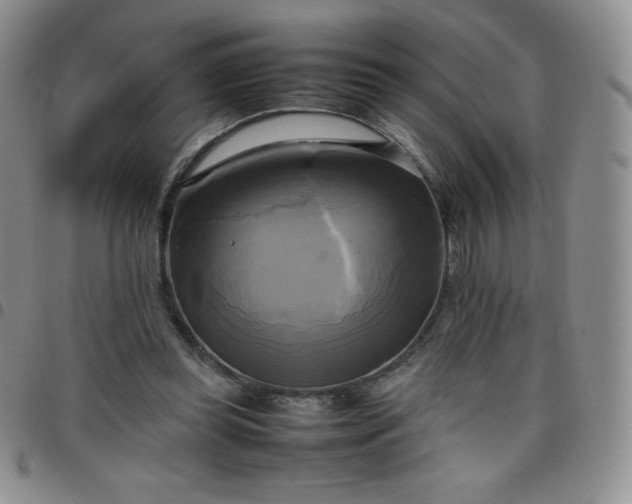 X0000099230349200805011141