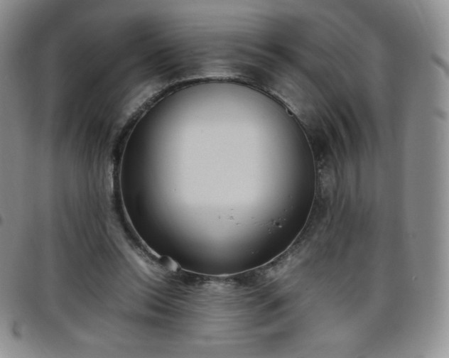 X0000099230350200805011141