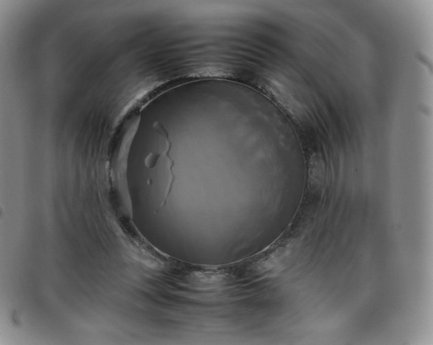 X0000099230351200805011141