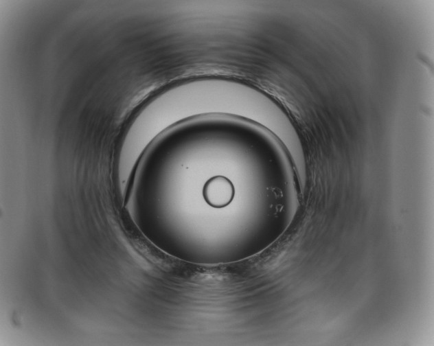 X0000099230352200805011141