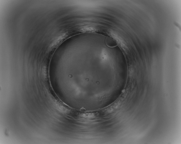 X0000099230353200805011141