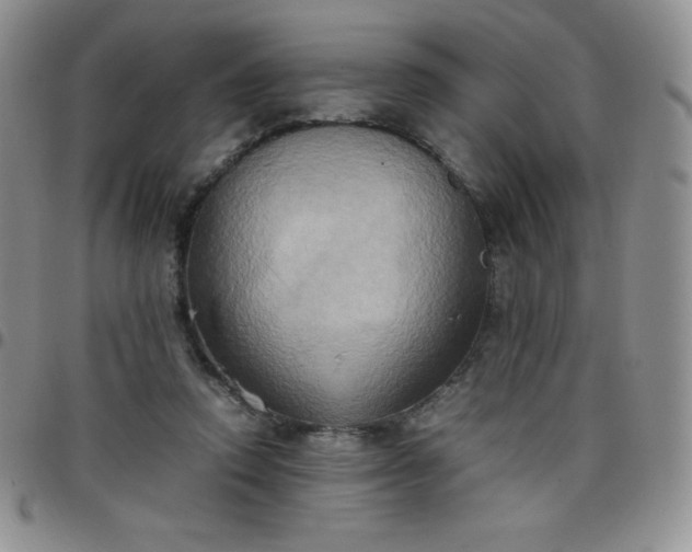 X0000099230354200805011141