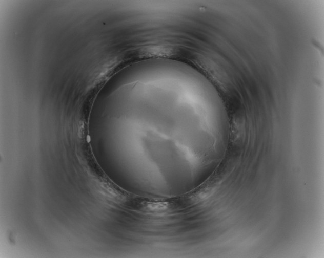 X0000099230355200805011141