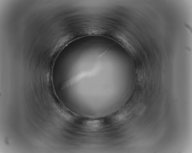 X0000099230357200805011141